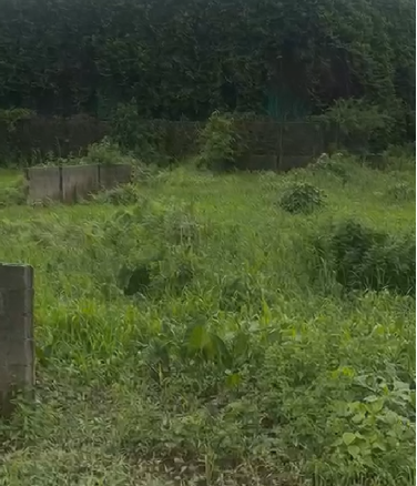 Half Plot of land for sale at Agodo, Cele Egbe